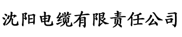 国产手机在线αv片无码电缆厂logo